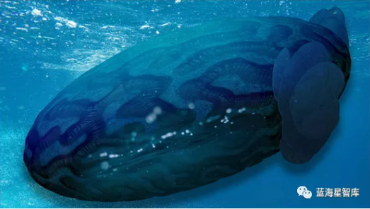 blob.png